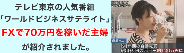 シストレで70万円稼いだ主婦がテレビ東京の人気番組「ビジネスサテライト」で取り上げられました！